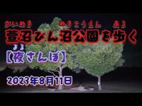 萱沼びん沼公園を歩く【夜さんぽ】2023年8月11日