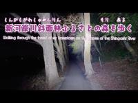 新河岸川斜面林ふるさとの森を歩く【夜さんぽ】2026年1月31日