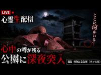 【心霊生配信】心中の噂が残る公園に深夜突入｜新潟・関分記念公園（タコ公園）
