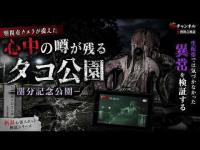 【別視点】生配信では気づかなかった映像｜新潟・関分記念公園（タコ公園）【心霊検証】