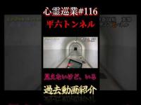 見えないけど、いる 心霊巡業#116 #shorts