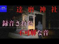 【ダルマ神社】かつて事件のあった神社で…暗闇に潜む何か【心霊スポット】