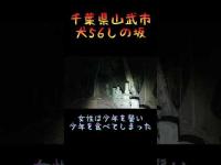 千葉県心霊スポット『犬56しの坂』 #心霊スポット