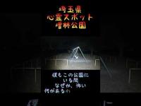 埼玉県心霊スポット『増林公園』 #心霊スポット