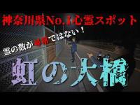 【神奈川県No.1心霊スポット】虹の大橋【機材が異常を起こすほどの霊】#心霊 #心霊スポット #evp #オーブ #horror