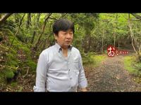 【心霊動画-お祓い済み-】磁場が狂う森で撮れちゃった【前編】誰か見てる…。（心霊研究家池田武央STAFF映像40）