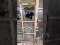 日本三大廃墟　八丈オリエンタルリゾート　［八丈島釣行番外編］ #八丈島 #廃墟　#shorts