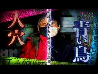 【心霊】072回転目：樹海で異変！？聖域と呪われた廃墟で単独調査！／人穴＆ホテル青い鳥