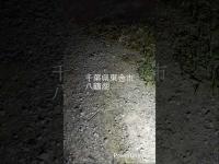 2026年7月28日