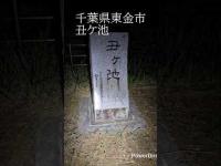 2026年7月29日