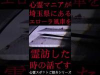 #Shorts 心霊マニアが埼玉県にあるエローラ風車に霊訪した時の話です