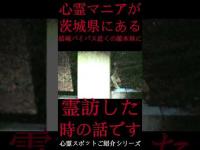 #Shorts 心霊マニアが茨城県にある結城バイパス近くの雑木林に霊訪した時の話です