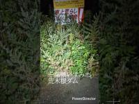 2026年8月1日