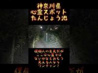 神奈川県心霊スポット『たんじょう池』 #心霊スポット