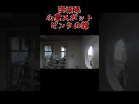 茨城県心霊廃墟『ピンクの館』 #心霊スポット
