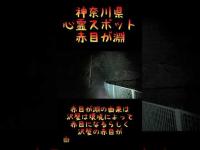 神奈川県心霊スポット『赤目が淵』 #心霊スポット