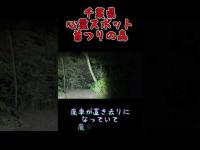 千葉県心霊スポット『高塚新田首つりの森』 #心霊スポット