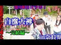 #350【心霊第94弾】滝行場更衣室付近に⭕️⭕️！？心霊コラボ第4弾！白鷹大神完結編in奈良県