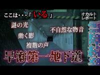 確実に『いる』…謎の声、不自然な物音、動く影、正体不明の光｜早瀬第一地下道