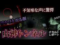 【心霊動画】心霊現象連発…不気味な声と“浮かぶ顔”を捉えた【山神トンネル】