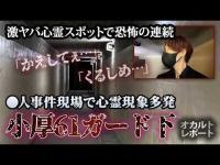 【神奈川心霊】気配が異常な地下道…女性の怒声と男の声が響く小厚61ガード下