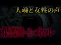 【心霊現象】葉梨トンネルで記録された女性の声と謎の人魂