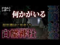 【千葉心霊】誰もいない白幡神社で女性の声…2台のカメラに同時記録された謎のノイズ