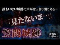 【心霊】「間違えてるよ」複数の声が帰り道を教える…笠間城跡で光の玉が道案内