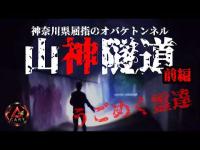 【神奈川県屈指のオバケトンネル】山神隧道 (ヤマノカミズイドウ)【前編】