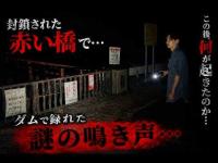 【閲覧注意】封鎖された赤い橋3回聞こえた謎の鳴き声【不動谷津ダム】