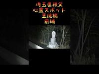 埼玉県心霊スポット『豆焼橋』 #心霊スポット