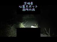 茨城県心霊スポット『漆所の池』 #心霊スポット