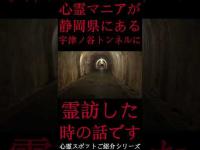 #Shorts 心霊マニアが静岡県にある宇津ノ谷トンネルに霊訪した時の話です