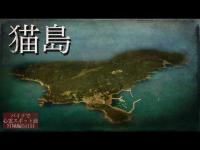 嘘でしょ…不可思議な噂が多くある猫だらけの島でキャンプ泊したら衝撃の出来事が【心霊スポットの旅・宮城編Day5】