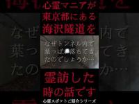 #Shorts 心霊マニアが東京都にある海沢隧道に霊訪した時の話です