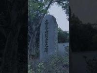 終焉の向島No1『呪いのマグカップ』