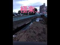 恐ろしい心霊スポットや…