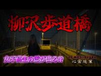 【柳沢歩道橋】まだ見ぬ心霊を求めて#191【心霊巡業】