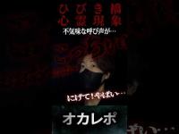 【心霊動画】誰もいない墓地側から「こっちぃぃぃ…」名前を呼び“逃げろ”と警告する声｜ひびき橋　#心霊 #心霊スポット #心霊現象  #心霊動画  #怪奇現象 #恐怖映像 #オカレポ