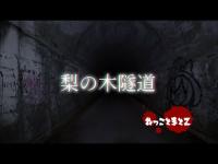【心霊】梨の木隧道　ほぼノーカット