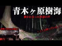 【霊能力の証明】青木ヶ原樹海【EVPの証明】 #心霊 #心霊スポット #evp #オーブ #horror