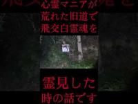 #Shorts 心霊マニアが荒れた旧道で飛交白霊魂を霊見した時の話です