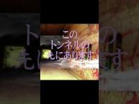 #Shorts 窓に鉄格子のある有名な白い家をお見せします