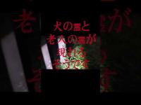#Shorts 犬の死骸が大量に遺棄された場所に夜中に行ってみた時の話です