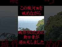 #Shorts 豊臣秀吉が現世に残したカルマについてお話しします
