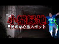 本当にあった怖い··いわくつきの緑地公園【愛知県心霊スポット・小幡緑地東園のトンネル（名古屋19ガード）】