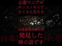 #Shorts 心霊マニアがキノコノモリでたくさん生える白毒霊茸の群れを発見した時の話です