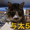 colon 0311のアイコン