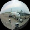 Travel in Timeのアイコン